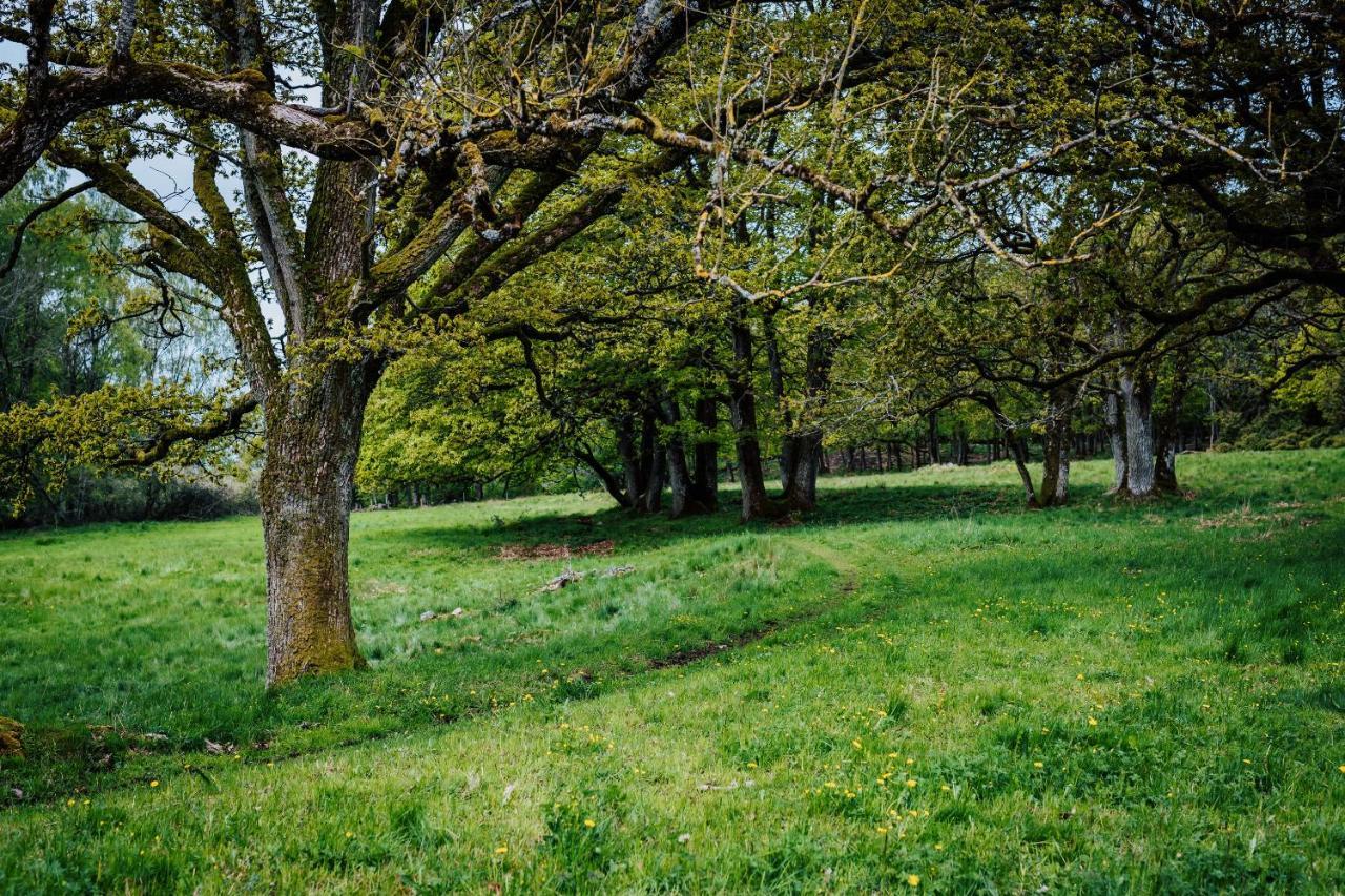 Karlsberg Gard B&B Tvååker Esterno foto